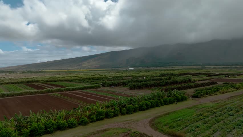 Aerial Parallax Over A Renewable Energy Farm In Maui.