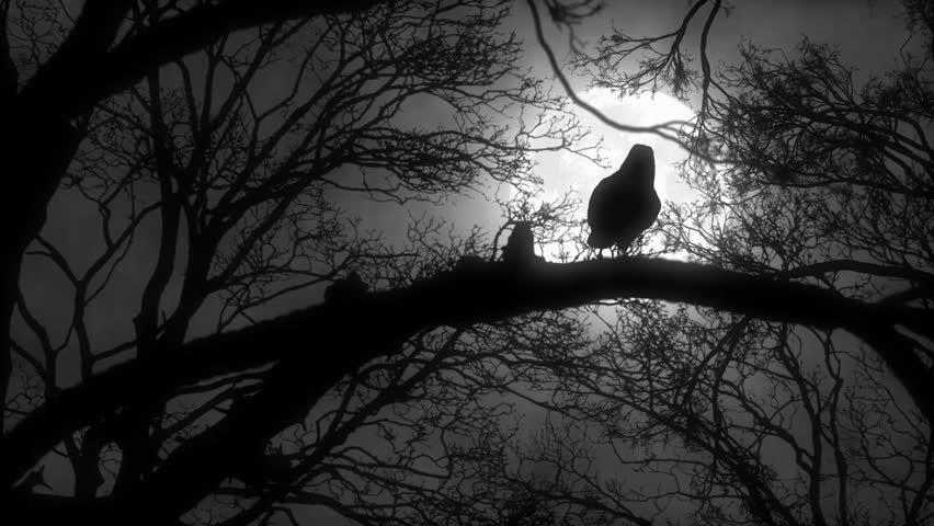 A creepy crow or raven perched on a tree branch during a full moon night with a cloudy sky, creating a spooky, eerie atmosphere.

