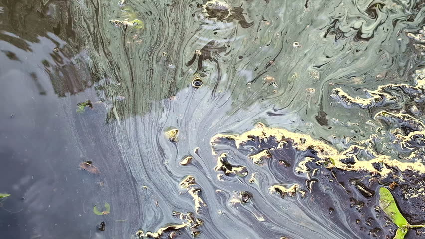 Intricate textures of ecological harm caused by oil contamination in water