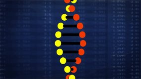 Stylized DNA helix animating in 3D on navy data background showing numeric overlays and waveform. Science, biotechnology, innovation, data visualization, digital art, futuristic, molecular - Powered by Shutterstock - Get 15% off with code: PIKWIZARD15