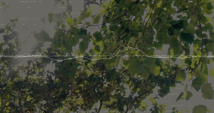 Shutterstock Video