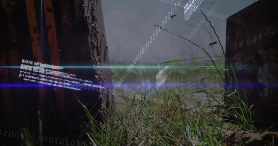 Wooden boathouse on stilts being visualized in lakeshore scene, with grid lines and ticker data. Landscape, digital, rustic, technology, tranquility, water, horizon