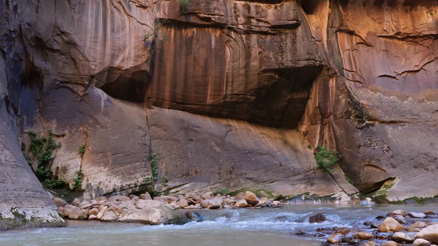 Static shot of a sandstone rock wall rising above the Virgin river. Taken along the Narrows trail in Zion National park. 