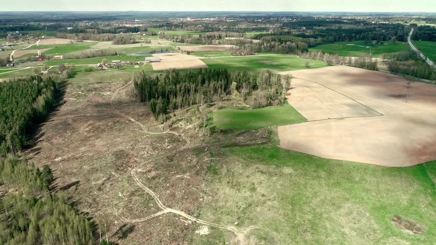 Dry open farmland divides forested tree stand of conifers, aerial overview with cloud shadows