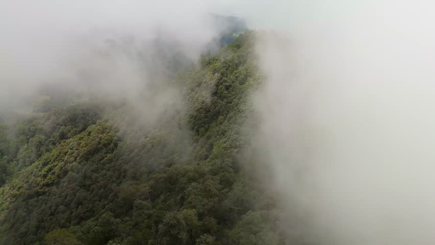 Aerial view above a lush mountain covered in forest, wrapped in low-hanging fog and clouds.