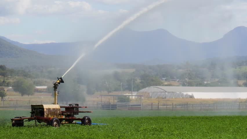 Water cannon irrigating a large green field