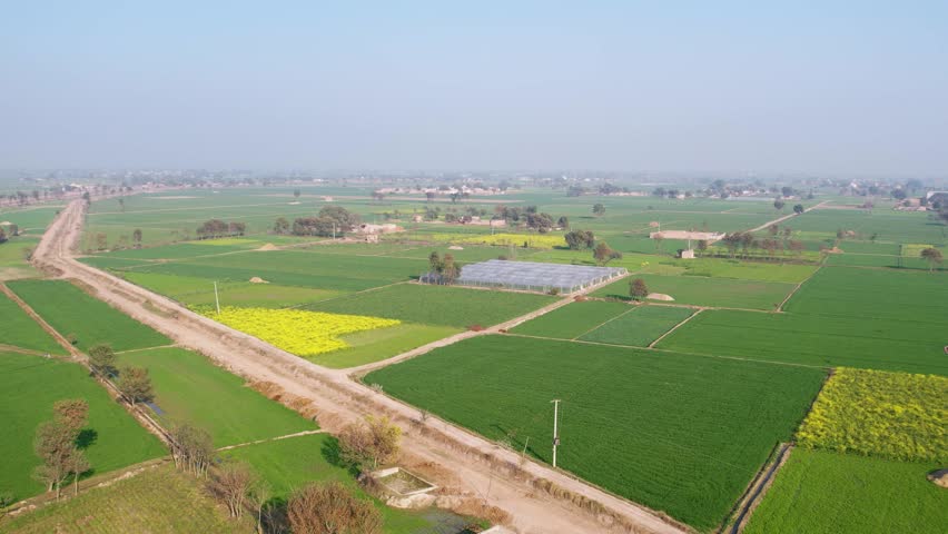 Vast green fields in Punjab with scattered villages and a patchwork of agricultural lands