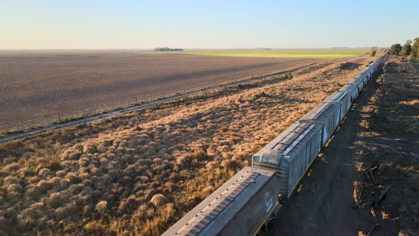 Long freight train hauling grain cars through dry grassland and farmland under clear sky in rural Argentina. Drone aerial view