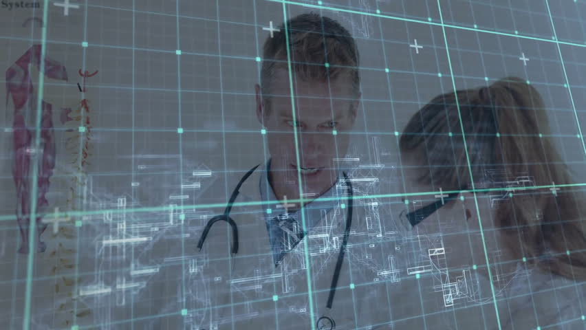 Shutterstock Video