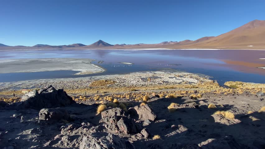 Laguna Colorada salt lake Bolivia Eduardo Avaroa Andean Fauna National Reserve nature landscape