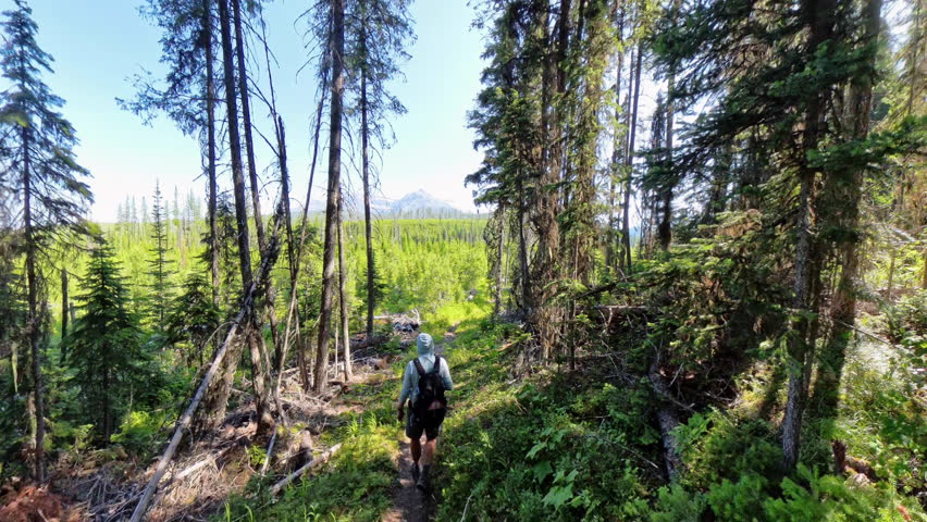 Following Man Hiking Toward View of Glacier Mountains in Glacier National Park