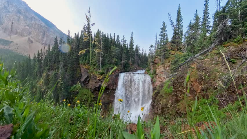 From Flowers to Falls in Glacier National Park