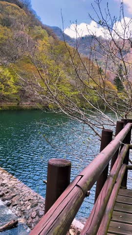 Naejangsan national park in spring with colorful foliage