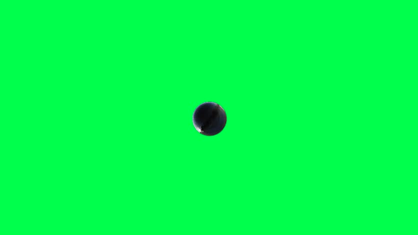 Shutterstock Video
