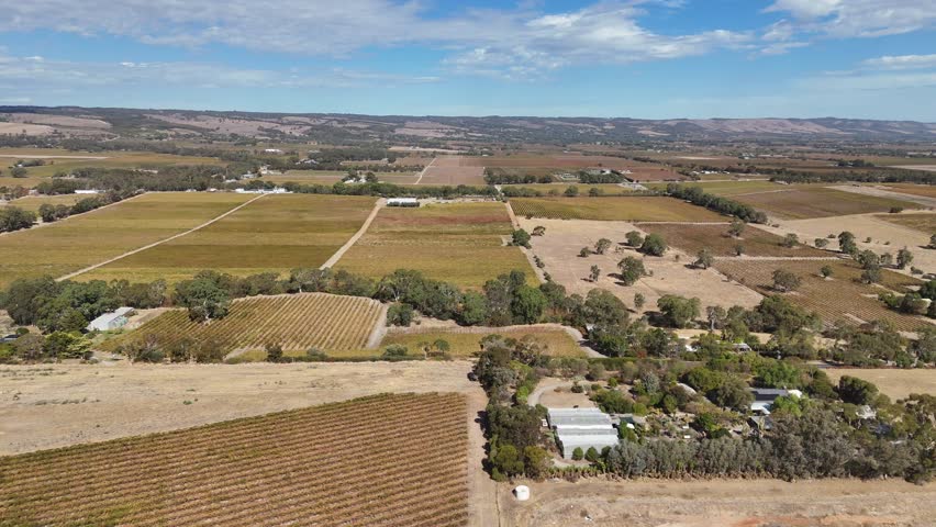 McLaren Vale, South Australia – 4K Aerial Drone Footage Featuring Autumn Vineyards and Rolling Hills in the Famous Wine Region