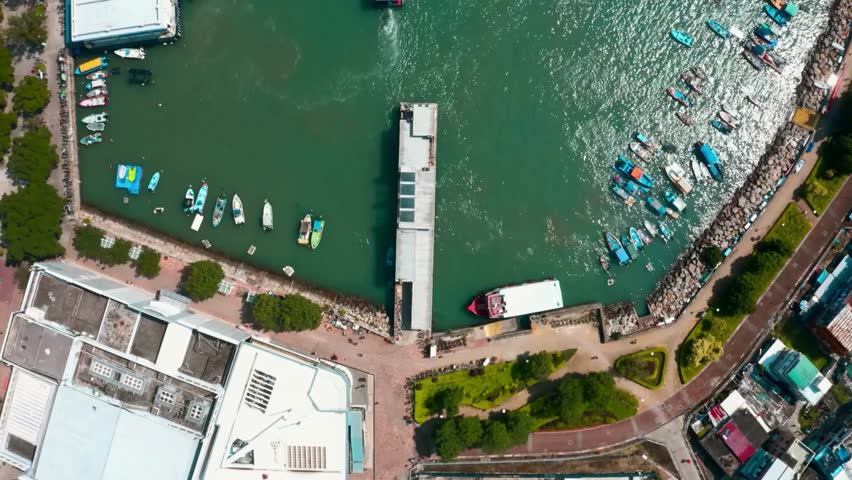 Aerial View of Harbor with Boats and City Buildings