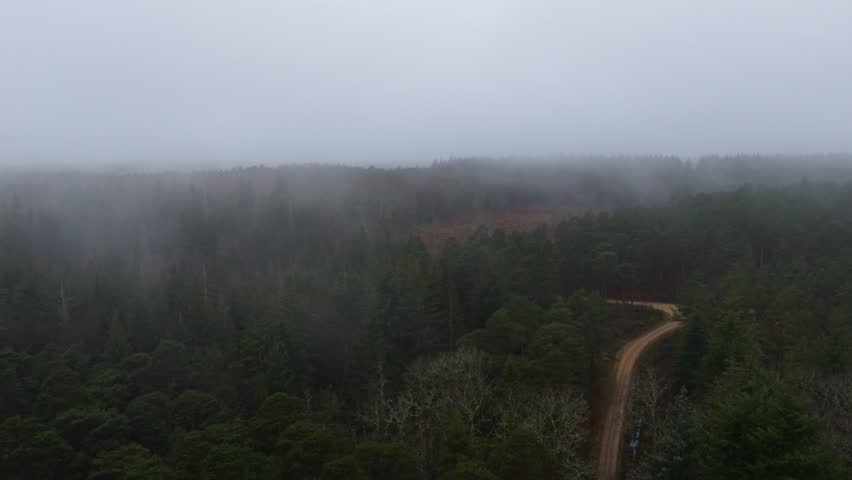 A drone view of dense forest with winding road through it during a misty morning with hazy sky