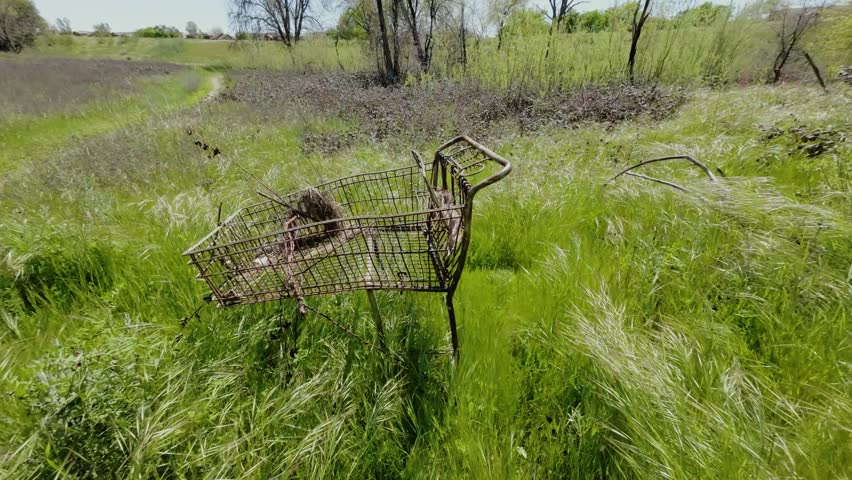 An abandoned rusty shopping cart on green grasses in a garden setting
