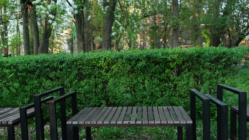 Man and Woman Meet in a Park. Simple Romantic Moment. Urban Romance. Natural Couple Sitting on Bench and Talking. Honest Relationship Scene. Authentic Love and Emotional Connection. First Dates
