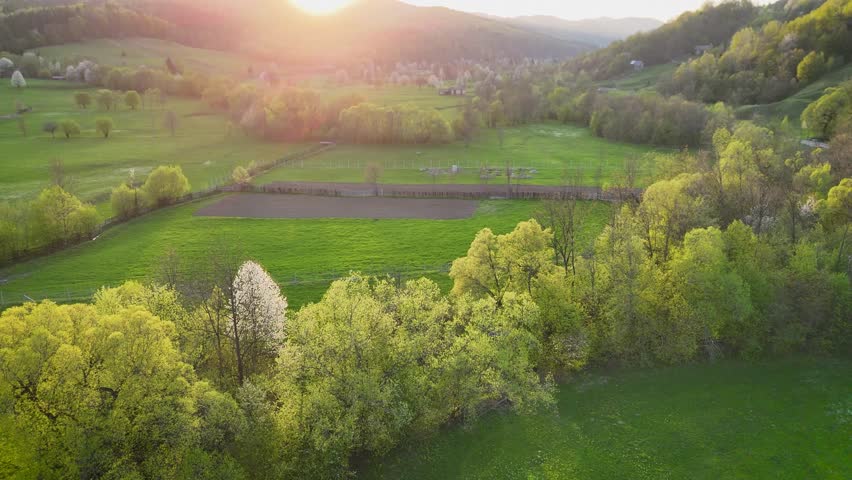 Green countryside and trees during sunset in Romania