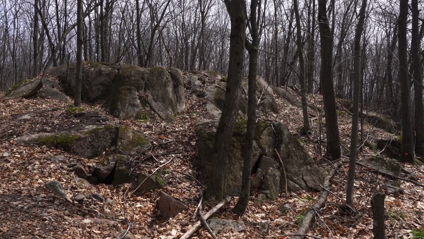 A lot of rocks that have been there for a long time, with leafless trees at the beginning of spring. On the ground, there are many dead leaves.