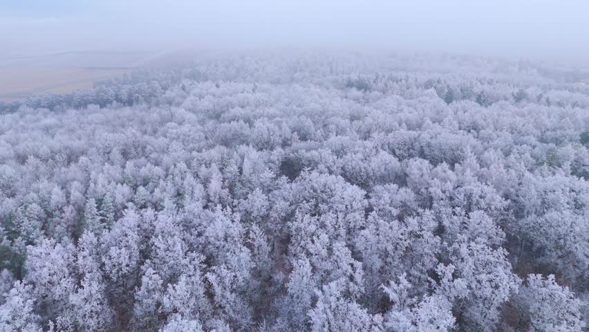 Sweeping Views Of Snow Winter Forests Near Burg Kreuzenstein In Austria. Aerial Drone Shot