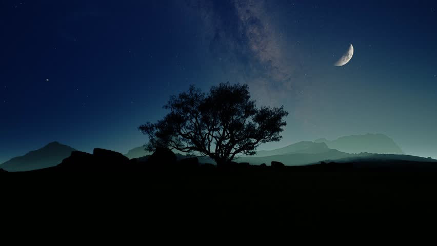 A tranquil night scene with a majestic tree silhouetted against a starry sky and crescent moon above. 3d animation. 3D Illustration