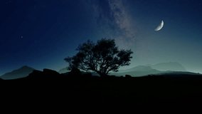 A tranquil night scene with a majestic tree silhouetted against a starry sky and crescent moon above. 3d animation. 3D Illustration - Powered by Shutterstock - Get 15% off with code: PIKWIZARD15