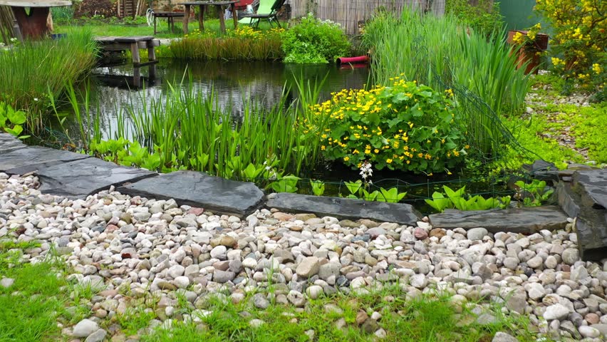 Root wastewater treatment plant as a garden pond. Relaxation zone with fish farming in an organic garden from above. Sustainable development in gardening and aquaculture.