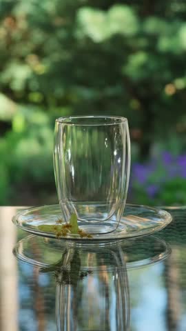 Pouring Linden Tea into Glass Cup Outdoors. Relaxing Linden Herbal Tea. Glass Cup and Teapot in Green Nature. Outdoor Summer Beverage Experience Vertical video