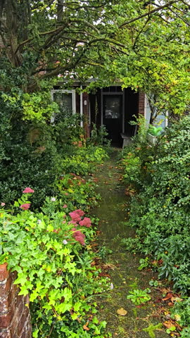 Overgrown garden pathway leading to a cozy house, lush greenery and colorful flowers . Vertical video