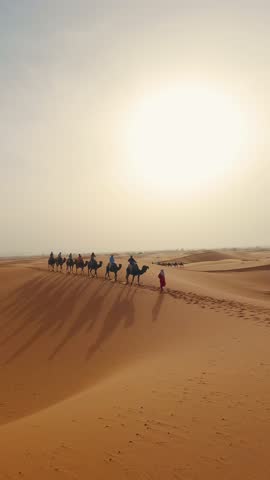 Camel caravan crossing the beautiful Sahara dunes under a glowing sun, vertical video