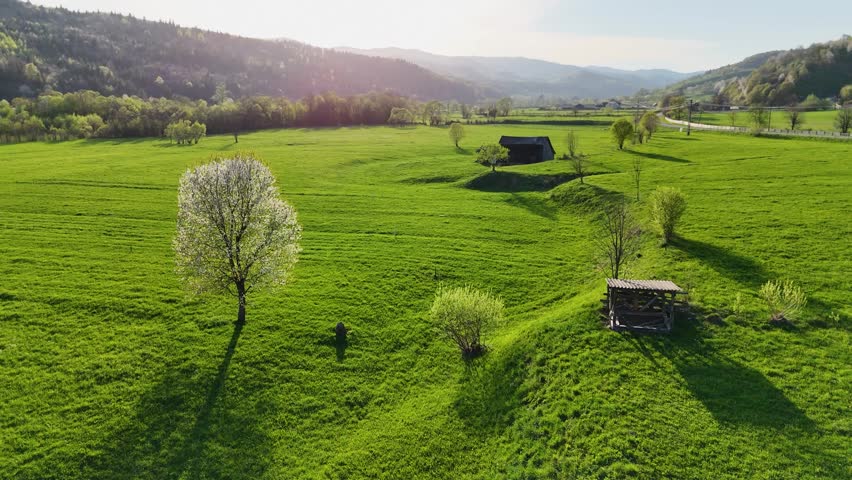 Rural Romanian landscape with wooden shed and blossom tree at sunset