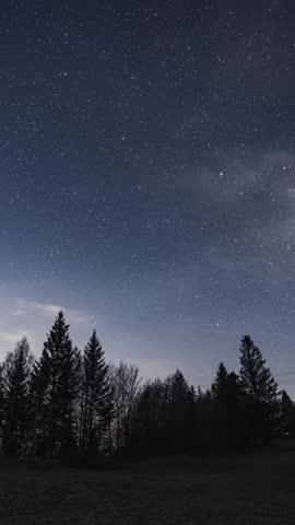 Peaceful vertical view of starry night sky filled with stars and soft clouds above a quiet forest, Astronomy Time lapse