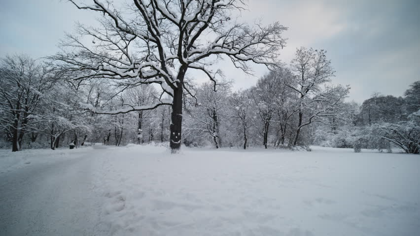 In the English Garden in Munich in winter with lots of snow. Taken on December 3, 2023.