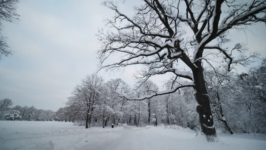 In the English Garden in Munich in winter with lots of snow. Taken on December 3, 2023.