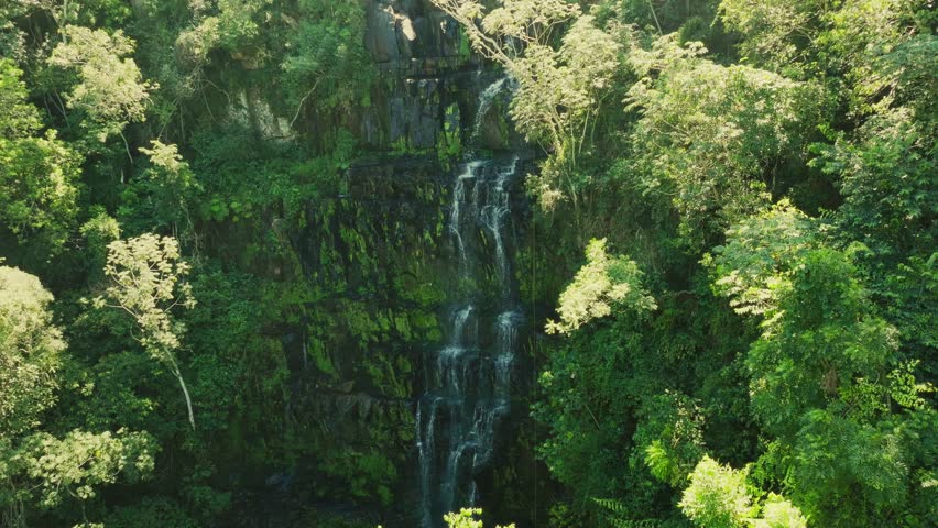 Cinematic drone shot flying toward Salto Cristal waterfall in Paraguay. Surrounded by dense forest, the scene unveils a natural wonder deep in the jungle.