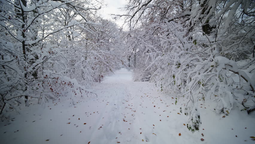 In the English Garden in Munich in winter with lots of snow. Taken on December 3, 2023.