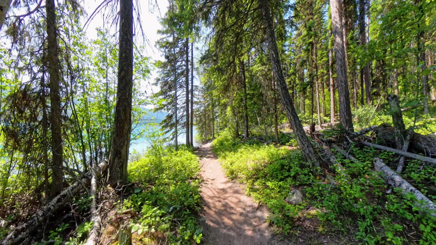 Hiking Along the Shore of Bowman Lake in Glacier National Park