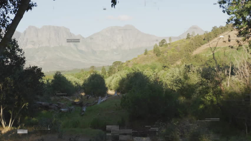 Shutterstock Video