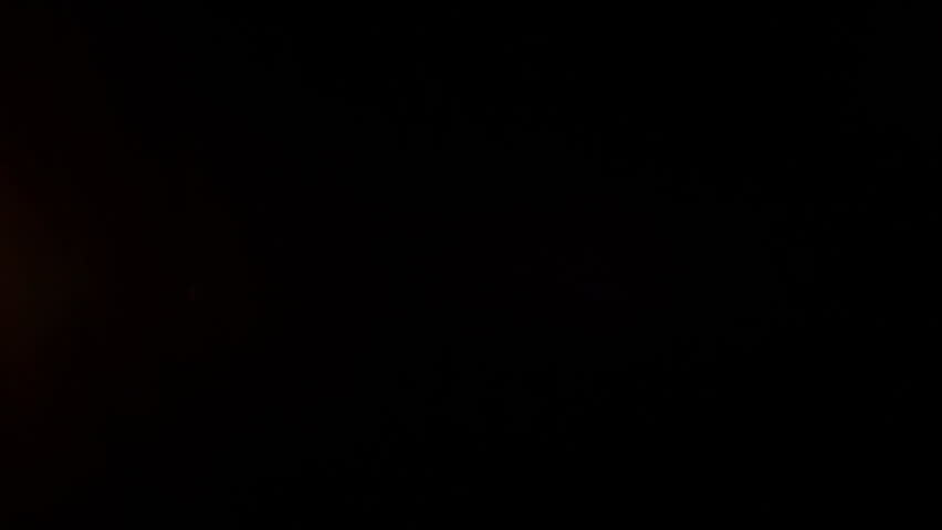 Shutterstock Video