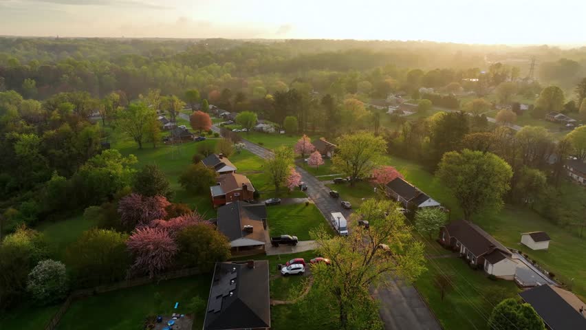 Tranquil housing area with main street and colored trees in spring. Housing area with single family house on golden sunset. Aerial orbit wide shot. American suburb district of town in Virginia, USA.