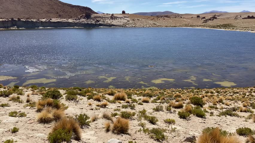 Sud Lipez highlands laguna lake nature landscape Bolivia South America