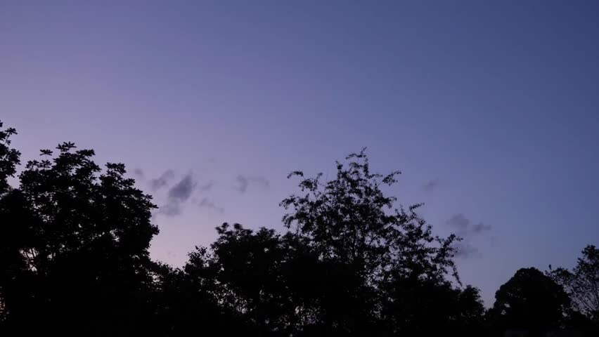 Handheld video capturing a UFO sighting in the evening sky, with three unidentified lights zooming across the night sky above the treetops, creating a mysterious scene.
