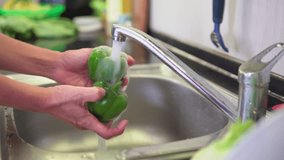 Woman hands washing fresh green bell pepper in a kitchen. Preparing of ripe vegetables. Sweet pepper is a healthy vegetarian food. Product of organic farming. - Powered by Shutterstock - Get 15% off with code: PIKWIZARD15