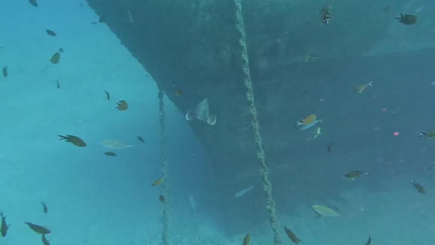 under water wide angle video