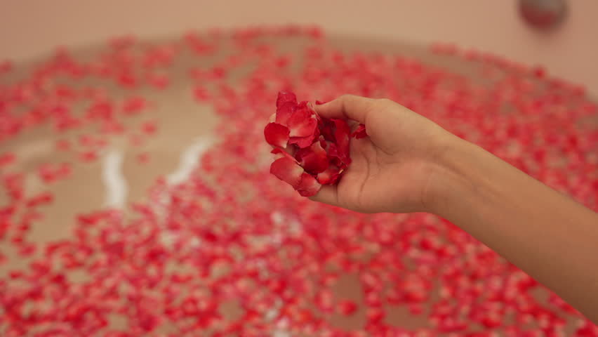 Hand lifts red rose petals in slow motion letting water drip as petals fall gracefully back into floral bath creating tranquil spa scene with sensory touch and peaceful beauty