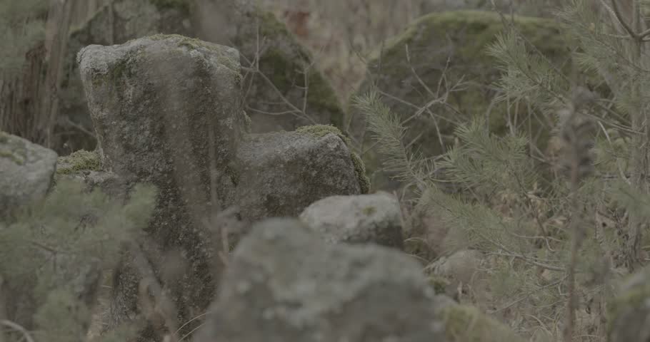 Old Stone Cross In Ancient Graveyard. Slavic Orthodox tombs burials. Babtsy, Vitebsk Region, Belarus. Ungraded C-LOG 2, ungraded, canon c-log