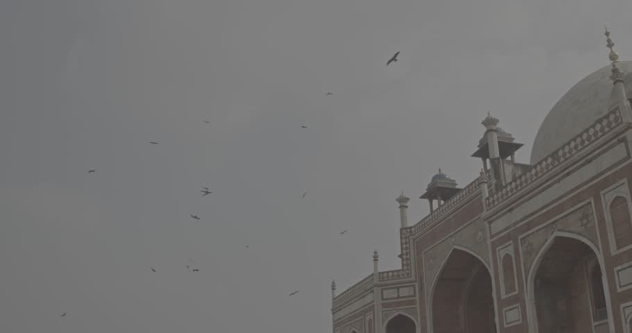 New Delhi, Delhi, India. Birds flying around of Humayun