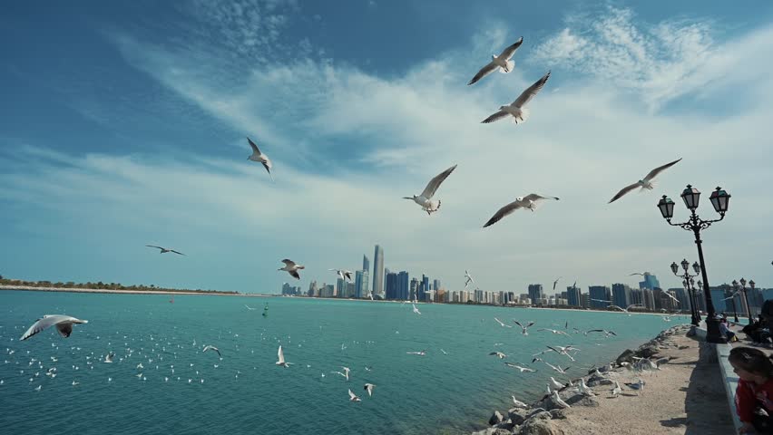A vibrant scene of seagulls flying above the turquoise waters with Abu Dhabi